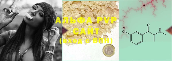 шишки Чекалин