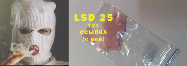 шишки Чекалин